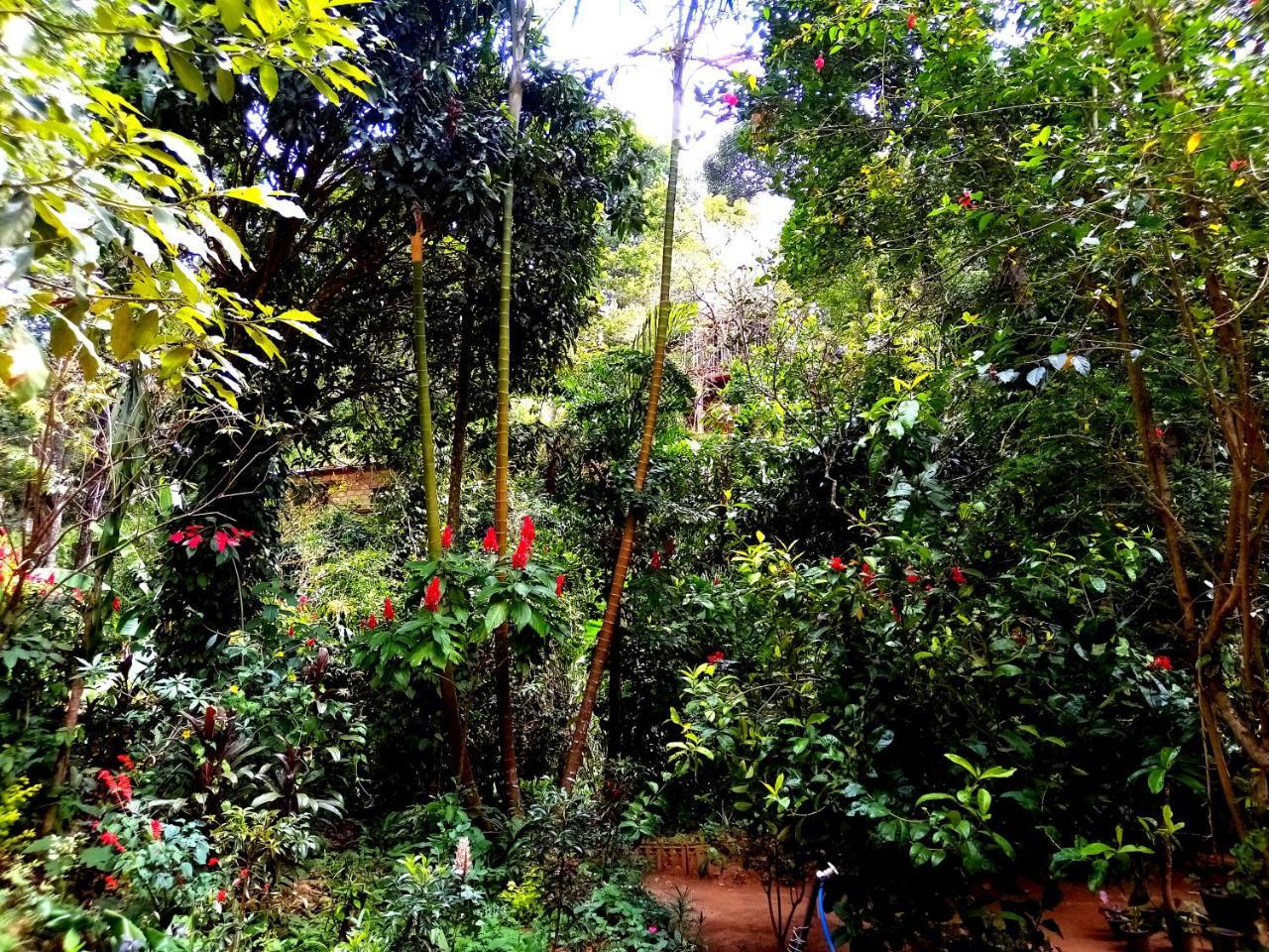 Ella Jungle Inn Homestay And Tree House מראה חיצוני תמונה