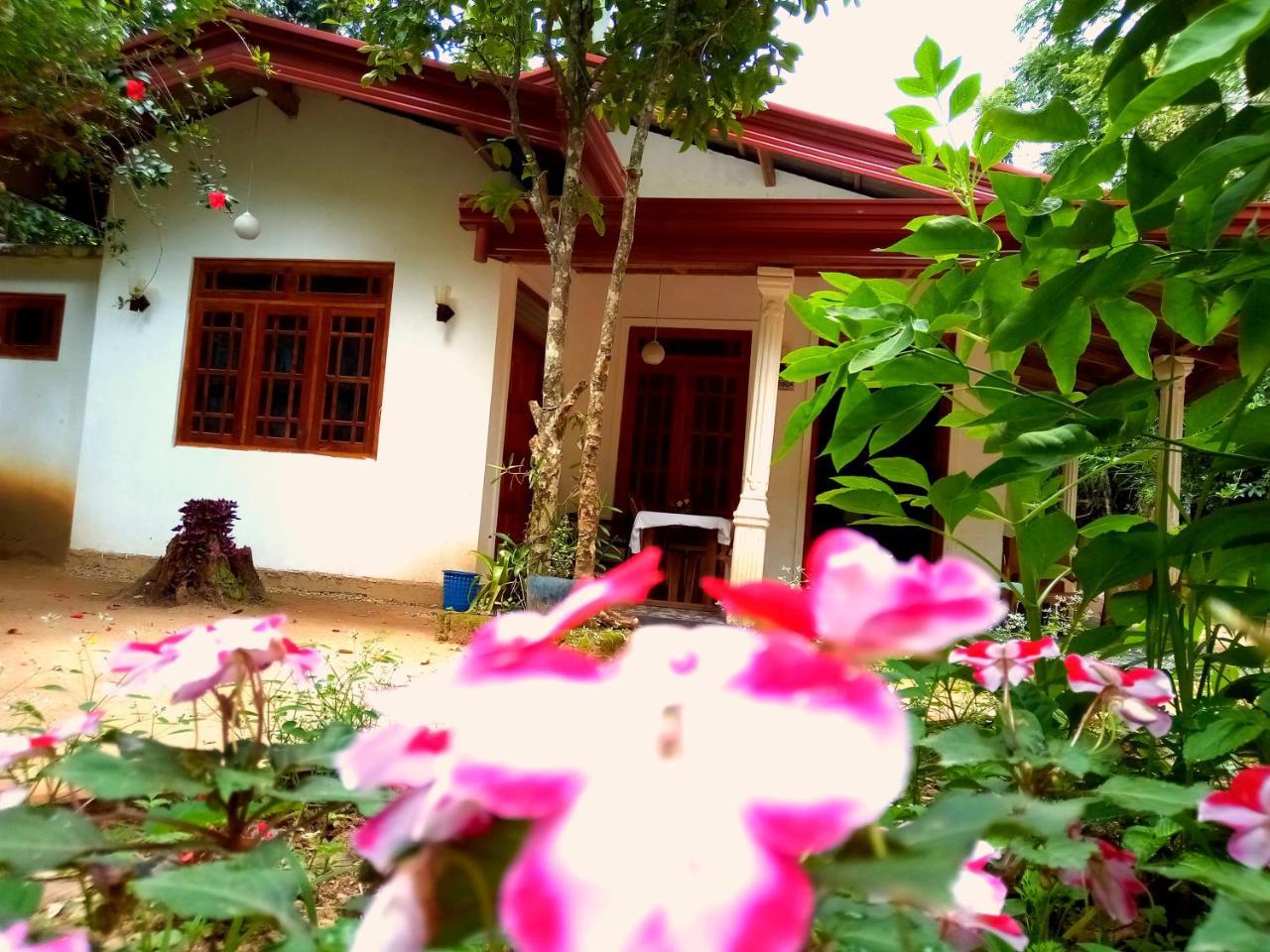 Ella Jungle Inn Homestay And Tree House מראה חיצוני תמונה